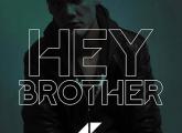 croppedimage165120-Avicii-Hey-Brother